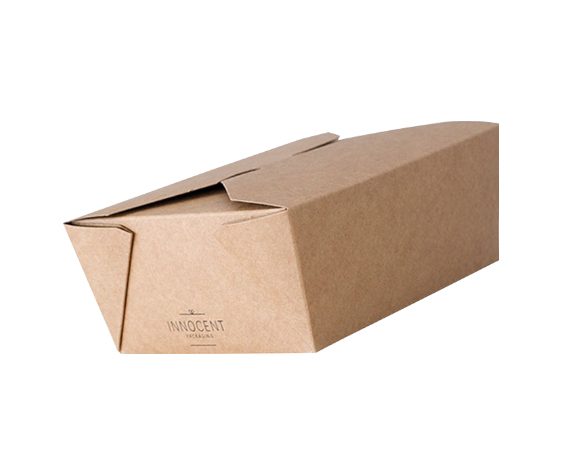 Stylish Noodle Box